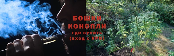 МДПВ Заводоуковск