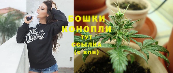 МДПВ Заводоуковск