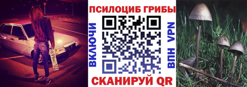 Псилоцибиновые грибы мухоморы  Купить закладки  Нерчинск 